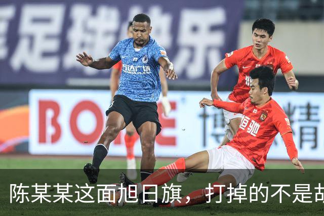 陈某某这面旭日旗，打掉的不是胡锡进的面子，是一层中邪论的滤镜